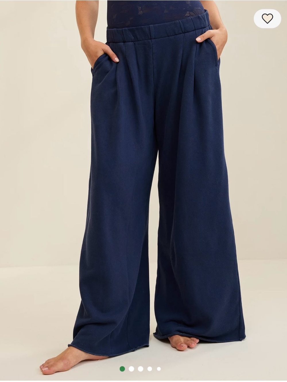 Aerie Wide Leg Navy Casual Pants